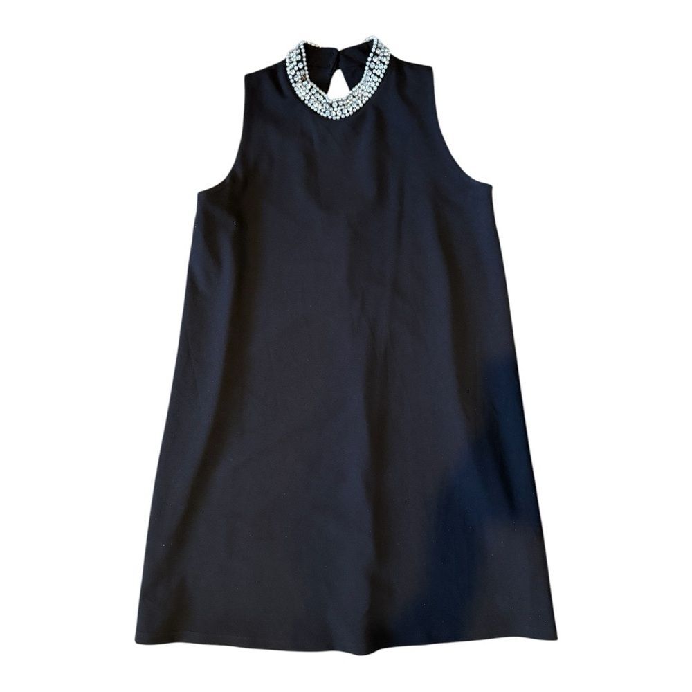Black Sleeveless Dress with Embellished Collar